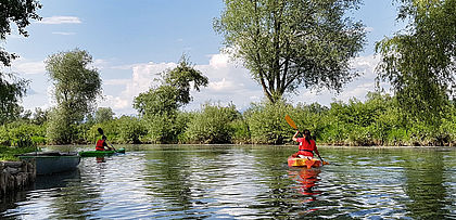Kanufahren auf der Treene
